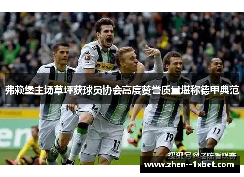 弗赖堡主场草坪获球员协会高度赞誉质量堪称德甲典范 弗赖堡主场草坪获球员协会高度赞誉质量堪称德甲典范